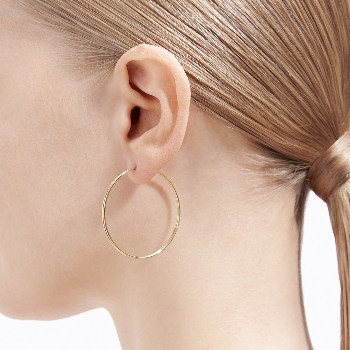 Double Hoop Earring 40